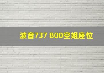 波音737 800空姐座位